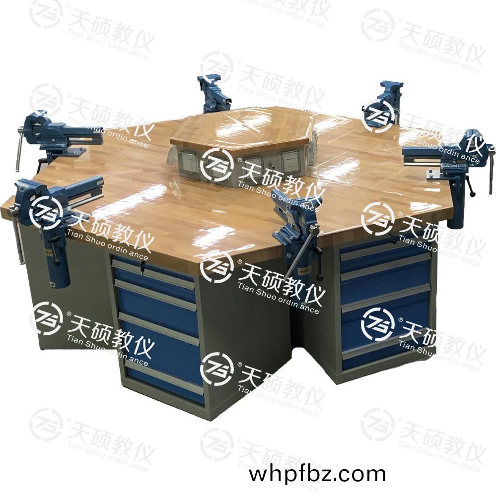 TSBTQG-3型(xing) 鉗(qian)工技(ji)能(neng)實訓(xun)平(ping)檯(tai)（六角六(liu)工位(wei)）